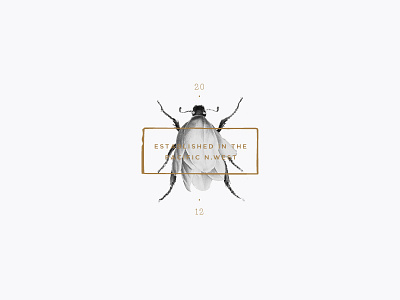 PNW botanical branding floral illustration insect pnw specimen