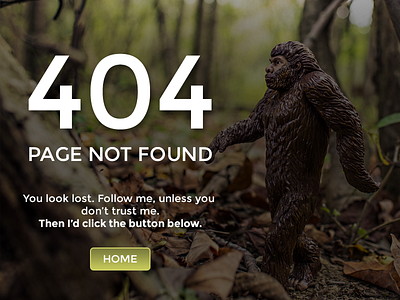 Daily UI 008 - Error 404 404 daily ui daily ui 008 dailyui dailyui008 error 404 ui