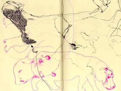 Bestiary: hippopotamus bestiary drawing hippopotamus