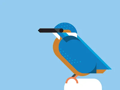Kingfisher vector illustration bird birds blue geometric geometrical ijsvogel kingfisher orange simple vector