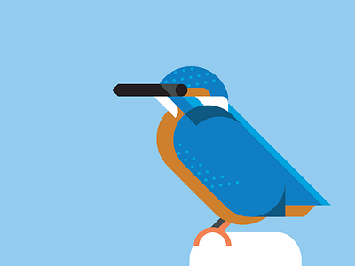 Kingfisher vector illustration bird birds blue geometric geometrical ijsvogel kingfisher orange simple vector