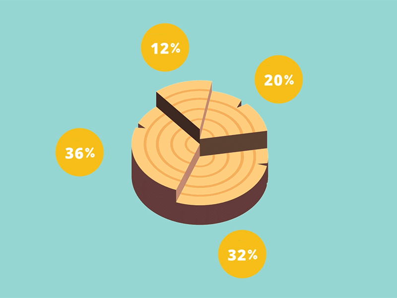 Stump Chart 2.5 d after effects animation chart flat motion design pie chart stump tree