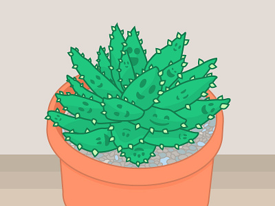 Succulent Family illustration succulent