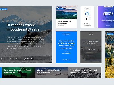 This is Alaska alaska colors dashboard design fresh interface minimal mountain ui ux visual website