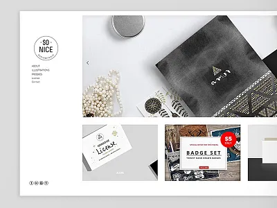 SoNice website branding design illustration packaging sonice website