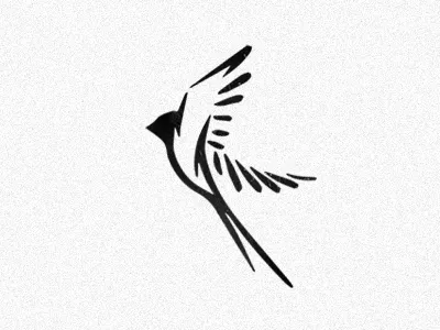 Volatus bird creative logo evolvered flight flying illustration latin logo design boston negativespace wings лого логотип