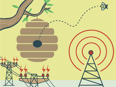 Colony Collapse Disorder bee beehive ccd electricity illustration infograph joshquick pollution power science tower tragedy