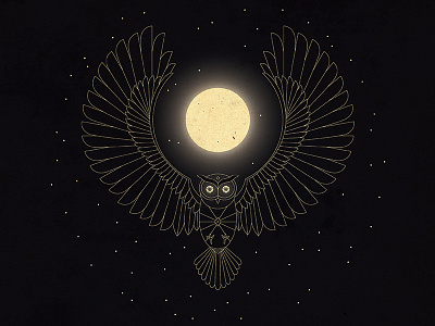 Owl about that bird illustration line drawing moon night owl