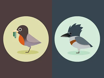 Robin + Kingfisher animal audubon bird kingfisher robin vector