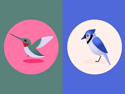 Hummingbird + Blue Jay animals audubon bird hummingbird jay