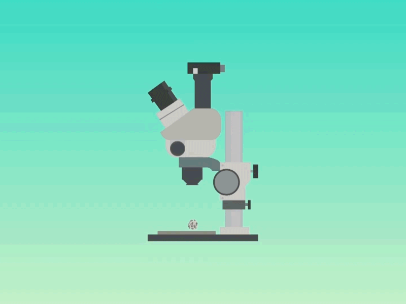 Jersey Heritage Animation animation design graphics microscope motion