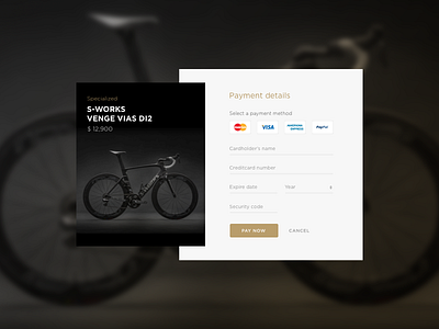 DailyUI 002 Creditcard Checkout bike creditcard checkout dailyui dailyui 002 payment product