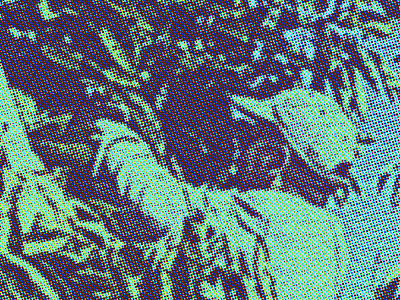 Picker blue groups halftone picker plant