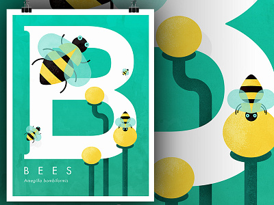 Bees australia bees fauna plants