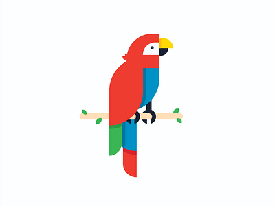 Parrot animal color colour flat geometric illustration nature parrot