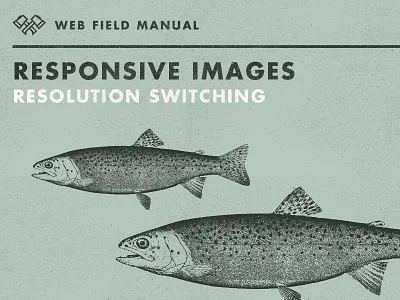 Responsive Images Res Switching futura retro