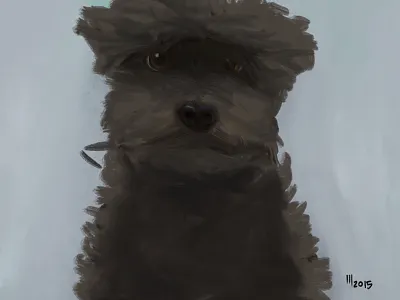 Dobby canvas cintiq digital painting dobby dog drawing oil paint painting poodle puppy texture