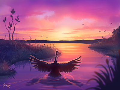 Evening flight bird crane evening flying nature purple waterside wings