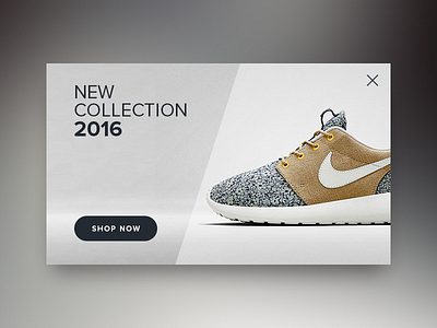 Day 016 - Pop Up dailyui pop up