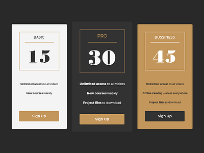 UI challenge - Pricing #030 elemnt info lables list money price pricing ui