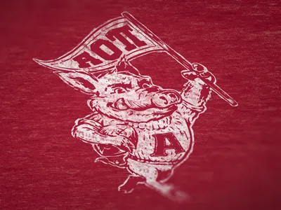 Fighting Hog alpha omicron pi aopi flag football hogs mascot pennant pig razorbacks sorority