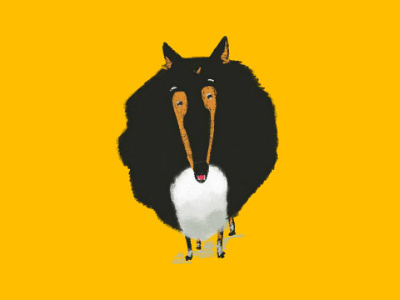 Collie collie dog illustration karopova