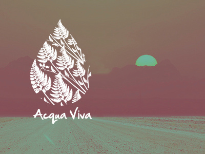 Acqua viva acqua agua bottle branding logo logotype mineral water