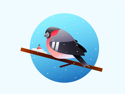 Bullfinch 2d bird bullfinch circle cold flat illustration rowan snow vector winter zajno