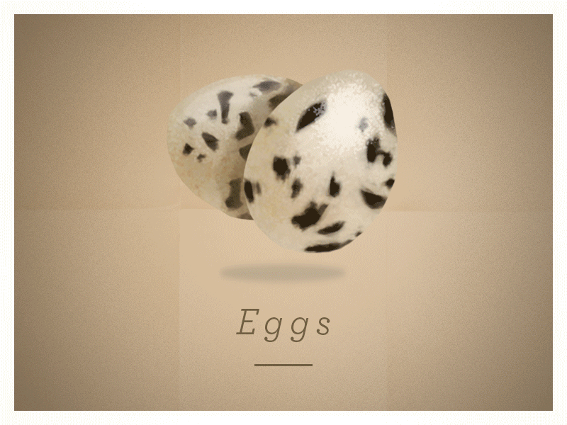Bōken rewards adventure berrie boken branch dyeos egg feather moss wood