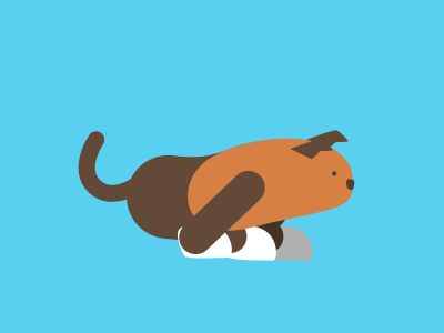 Dog Run Cycle animation dog run cycle
