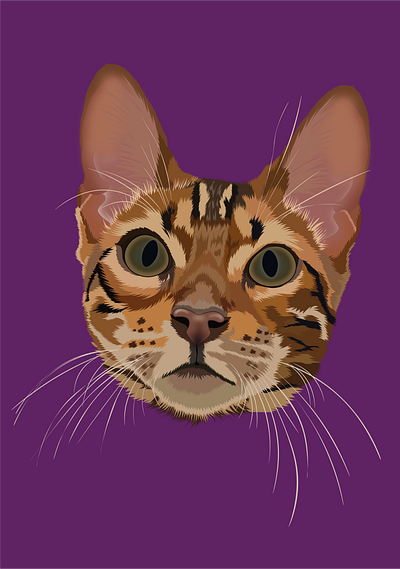 Zeus animal animalillustration art artwork bengalcat cat catillustration catlover digitalart minimalist minimalistart pet petportrait portrait realistic realisticvector vector vectorart