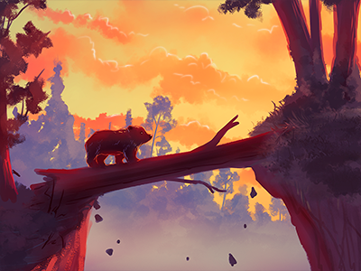 Towards the future. bear forest nature orange pine scenery tree trunk