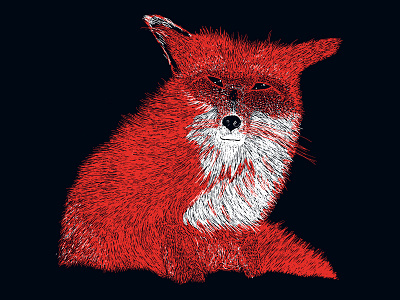 Fox animal fox illustration