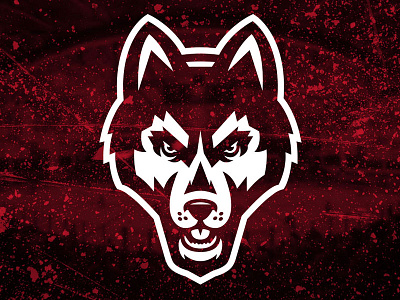 SCSU Huskies Rebrand Concept hockey huskies logo rebrand concept scsu sports