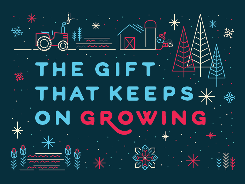 Happy Holidays! 2015 animation austin christmas farm farmshare gif holiday lights snowflake