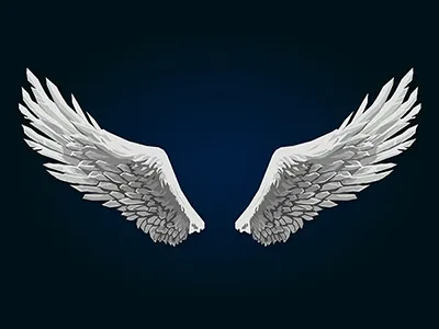 Wings illustration vector