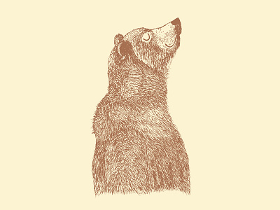 The chilled and relaxed bear bear drawing illustration