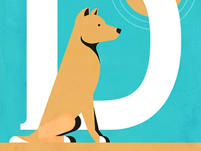 Dingo australia dingo