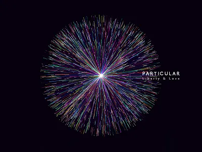 Particular particular