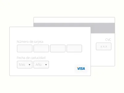 Minimalist credit card form credit card flat form inputs mastercard pay payform visa