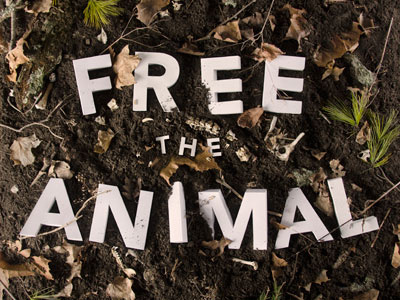 Free the Animal bones design paper photography sia type typography