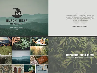 Dispensary Brand Guidelines aesthetics brand colors brand guide brand guidelines brand identity branding cannabis color palette dispensary flyer design graphic design iconography illustration instagram lifestyle logo design photography print design social media design typography