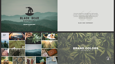 Dispensary Brand Guidelines aesthetics brand colors brand guide brand guidelines brand identity branding cannabis color palette dispensary flyer design graphic design iconography illustration instagram lifestyle logo design photography print design social media design typography