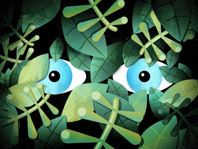 I see you... 2d animation eyes gif green illustration jungle leaves motion design