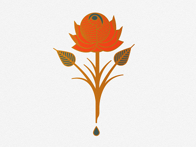 Rose illustration minimal rose