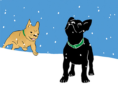Dogs playing in the snow dogs french bulldogs holiday winter