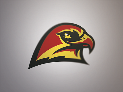 Hawk branding hawk identity sports branding sports identity sports logo