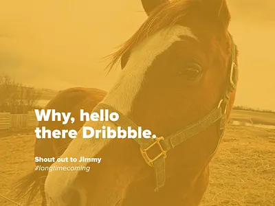 Dribbble Hello hello