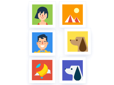 Images Identify and Classification classification identify images photo