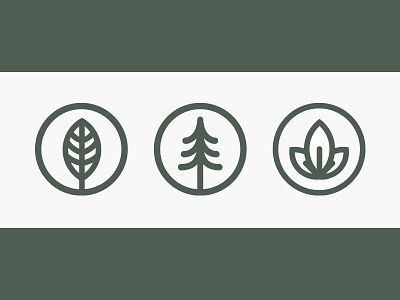 Great Outdoors / Little Icons icon icons illustration leaf minimal nature tree vintage